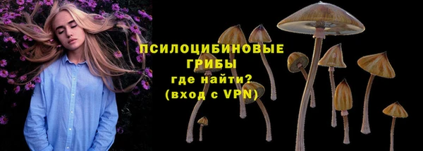 спайс Богородицк